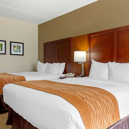 Comfort Inn & Suites Cordele Rum bild