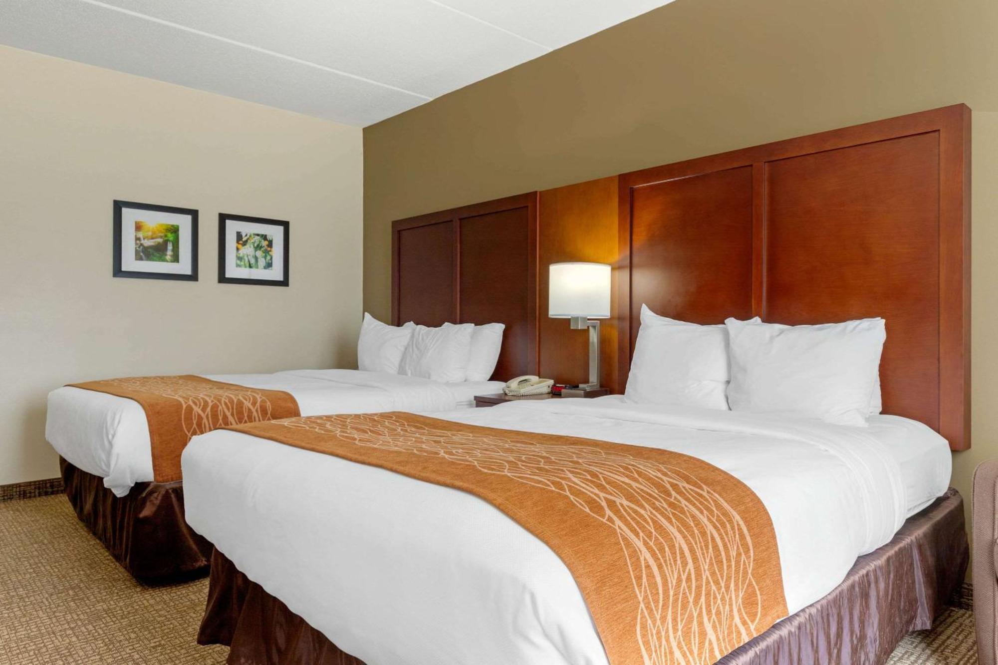 Comfort Inn & Suites Cordele Rum bild